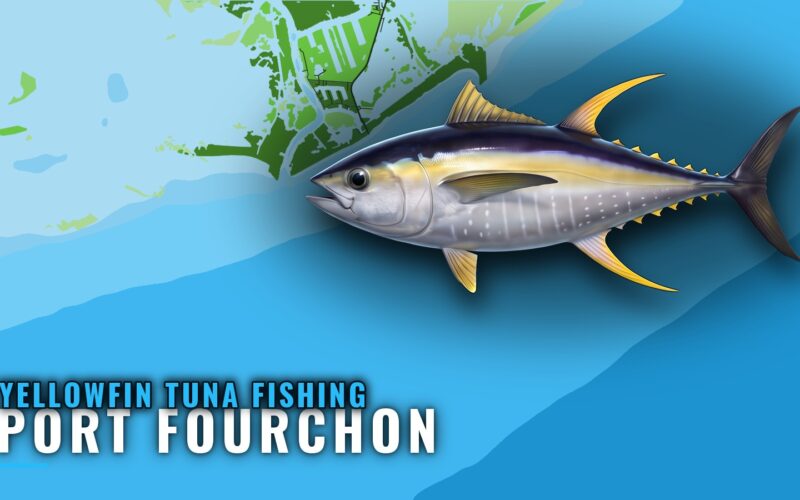 Yellowfin Tuna Fishing Out of Port Fourchon, Louisiana