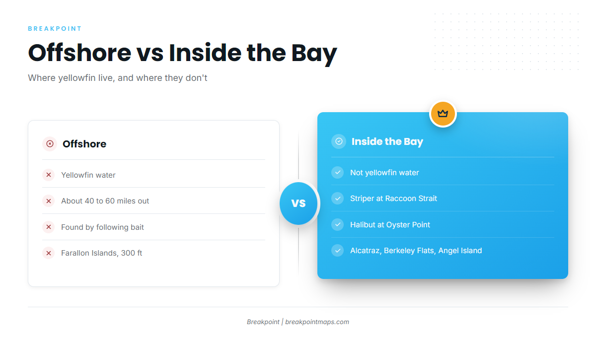 Inside the Bay (Yellowfin tuna fishing out of San Francisco Bay)