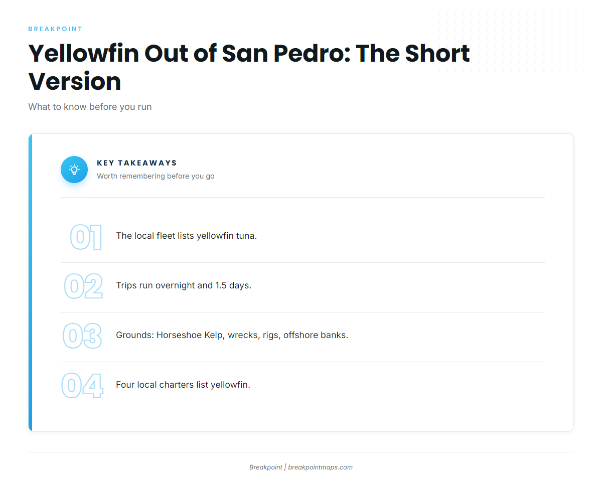 FAQ about yellowfin tuna fishing out of San Pedro and Long Beach