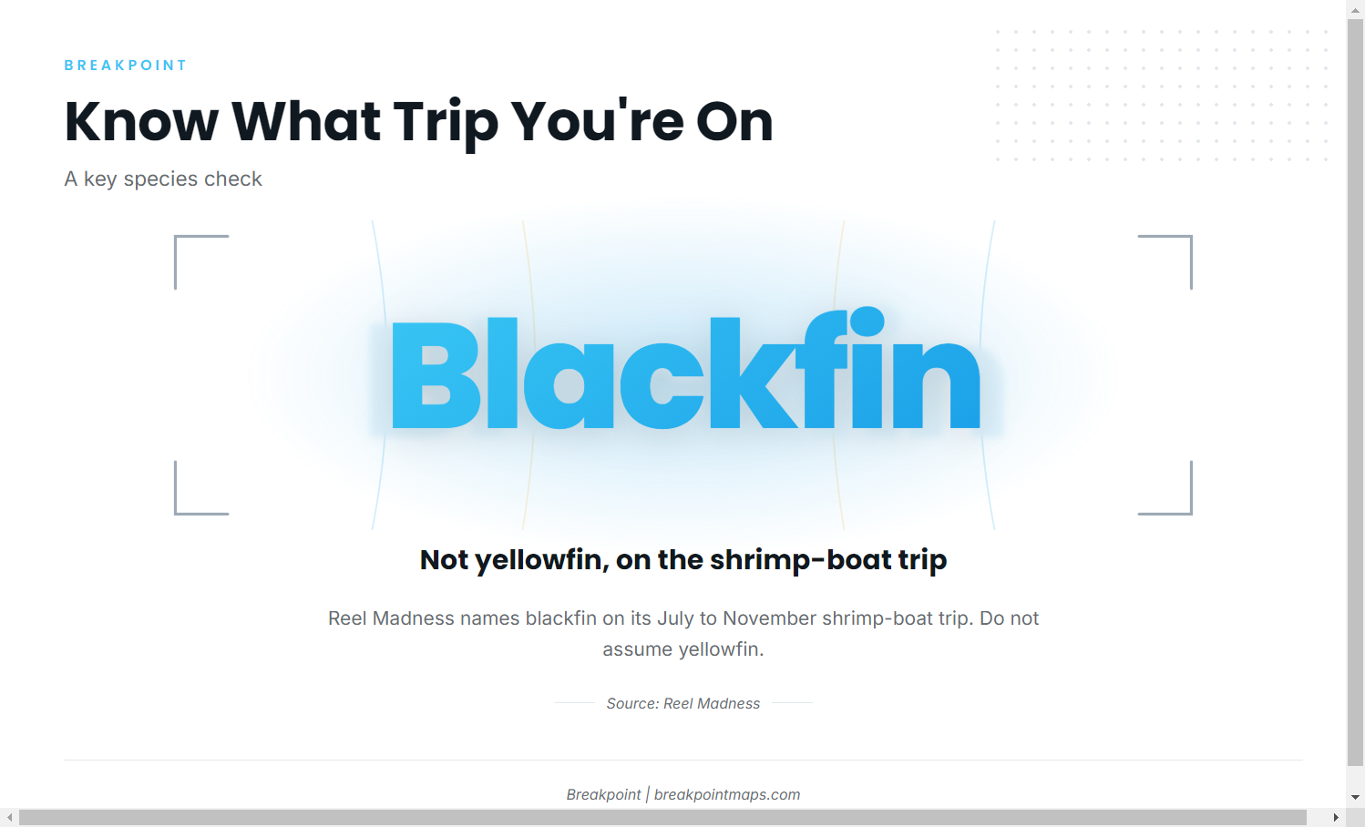 Shrimp-boat trips and blackfin