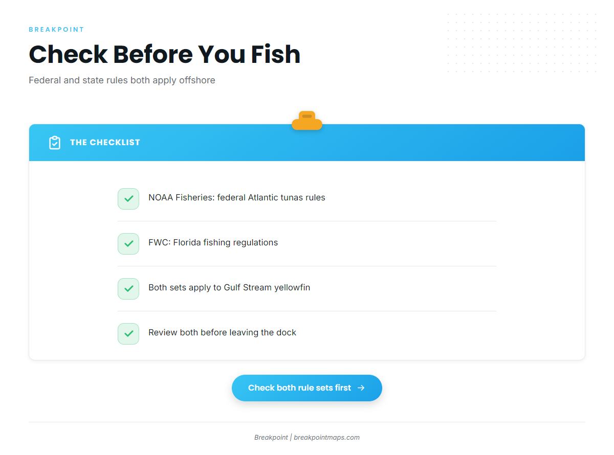 Regulations for yellowfin out of St. Augustine