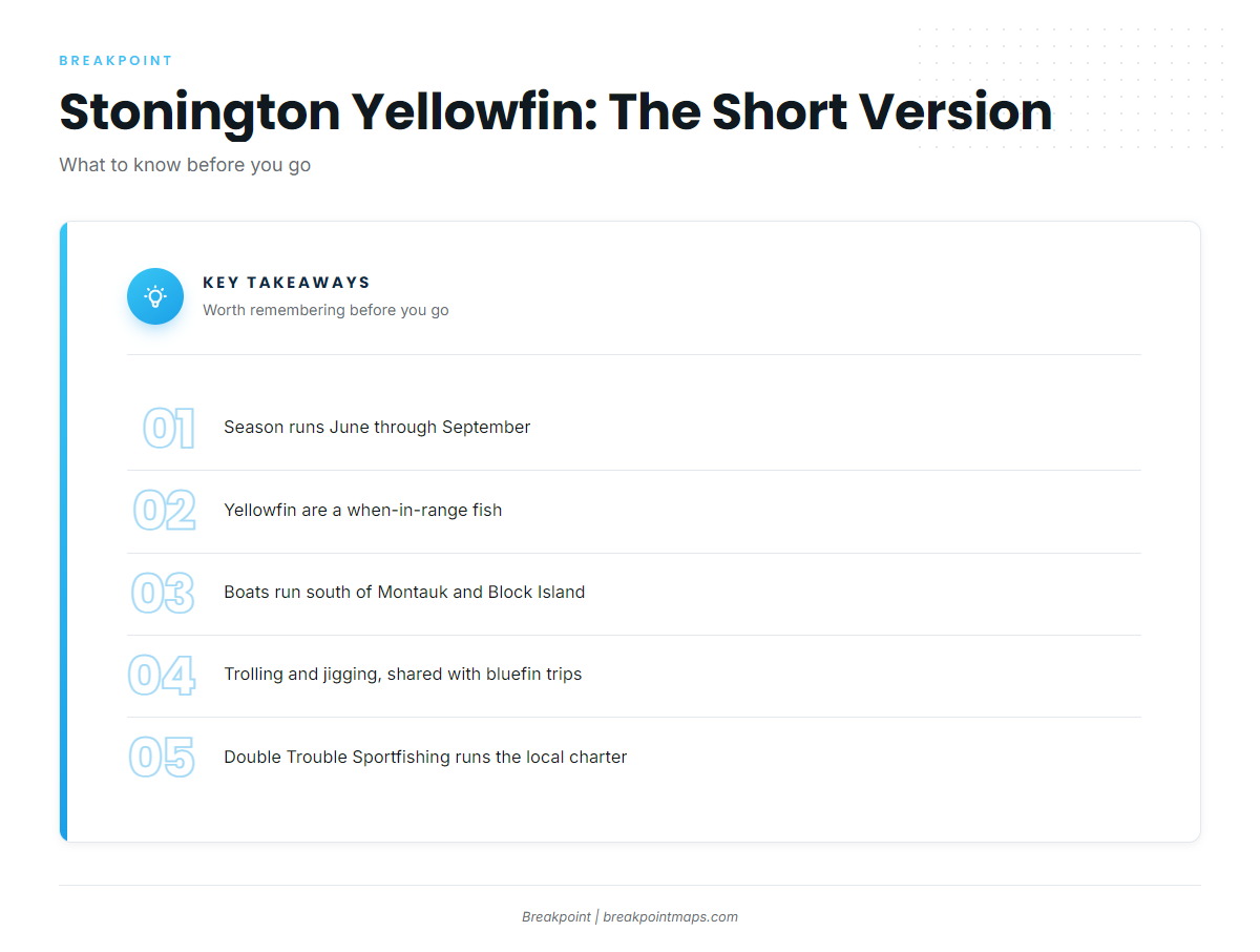 FAQ: yellowfin tuna fishing out of Stonington