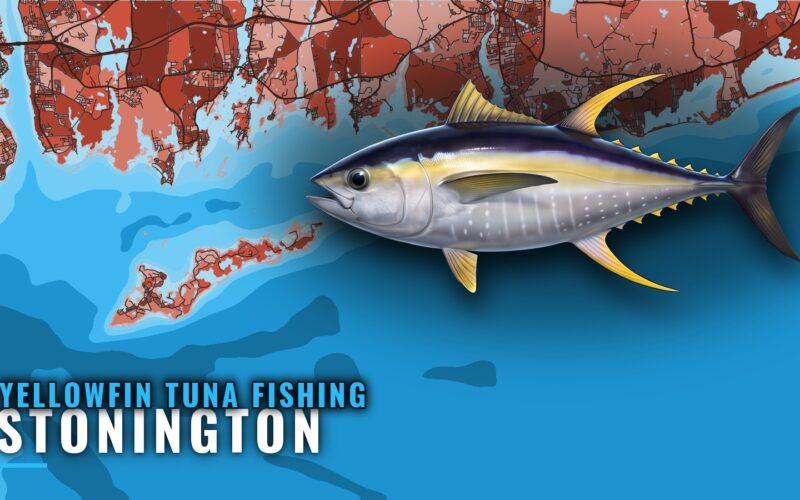Yellowfin Tuna Fishing Out of Stonington, CT