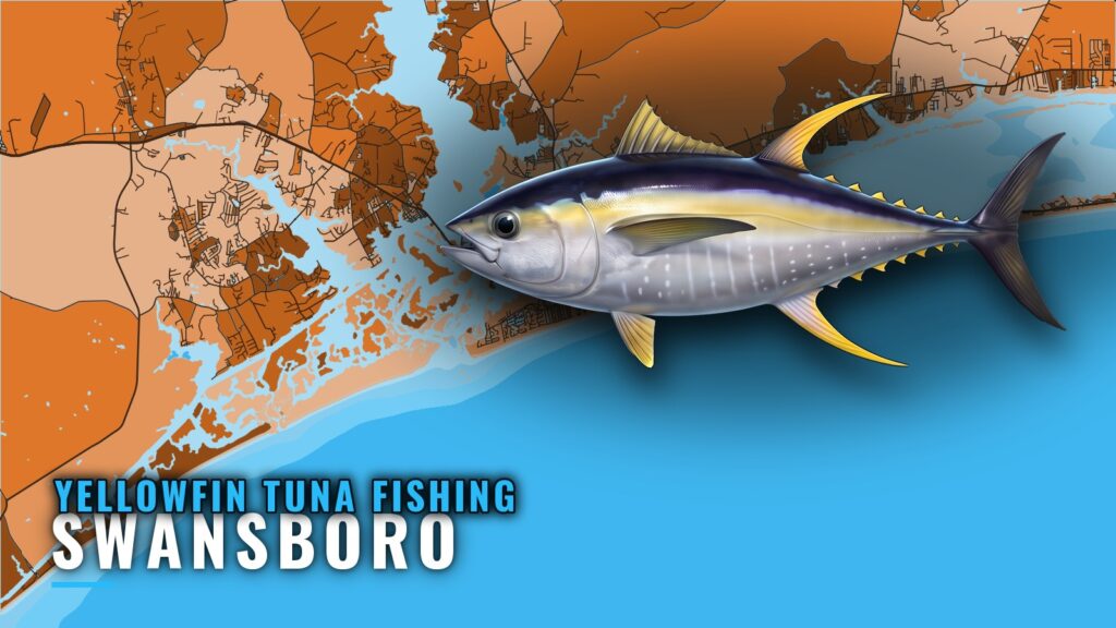 Yellowfin Tuna Fishing Out of Swansboro: Run and Grounds