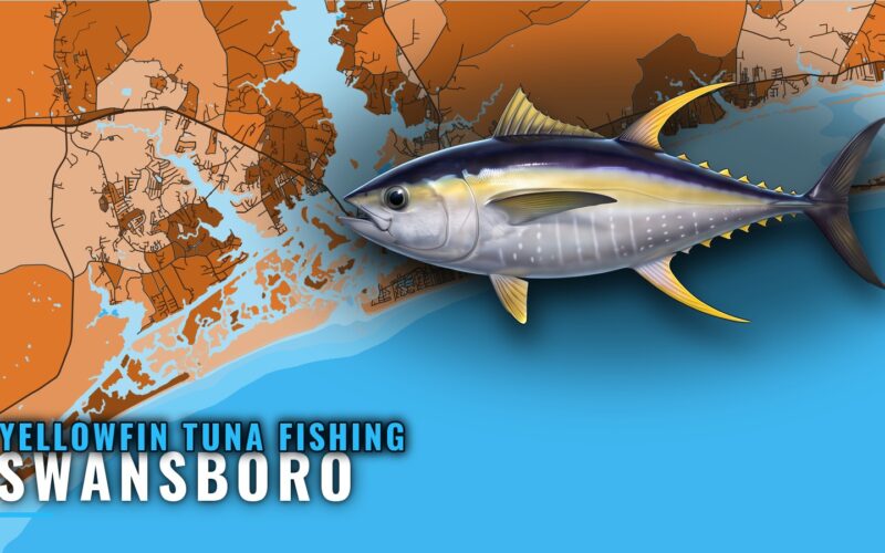 Yellowfin Tuna Fishing Out of Swansboro: Run and Grounds