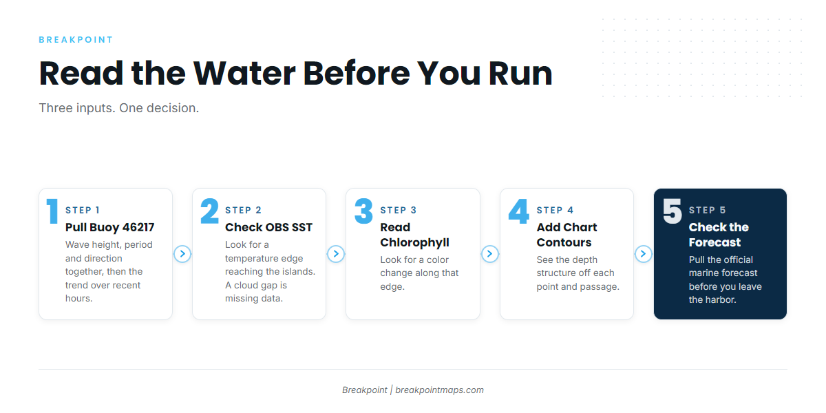 Reading the water before the run