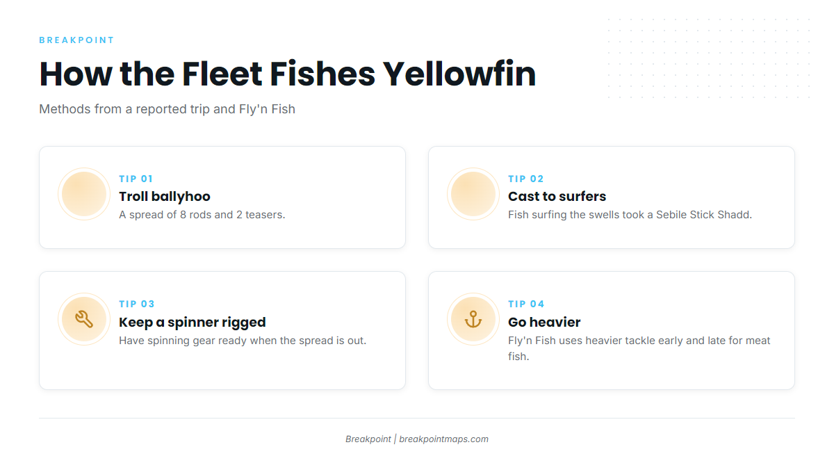 How the fleet fishes them