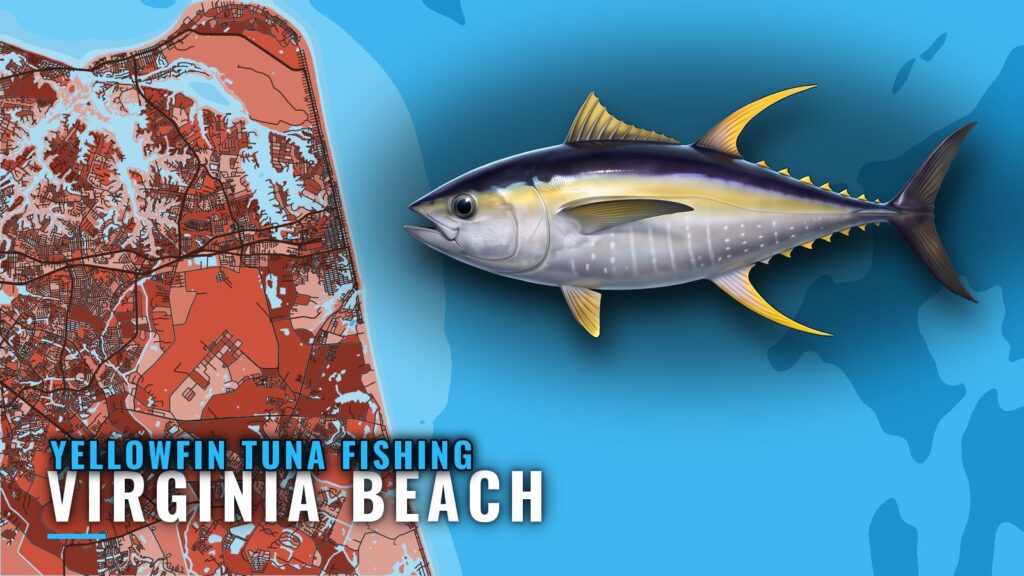 Yellowfin Tuna Fishing Out of Virginia Beach: Where to Run