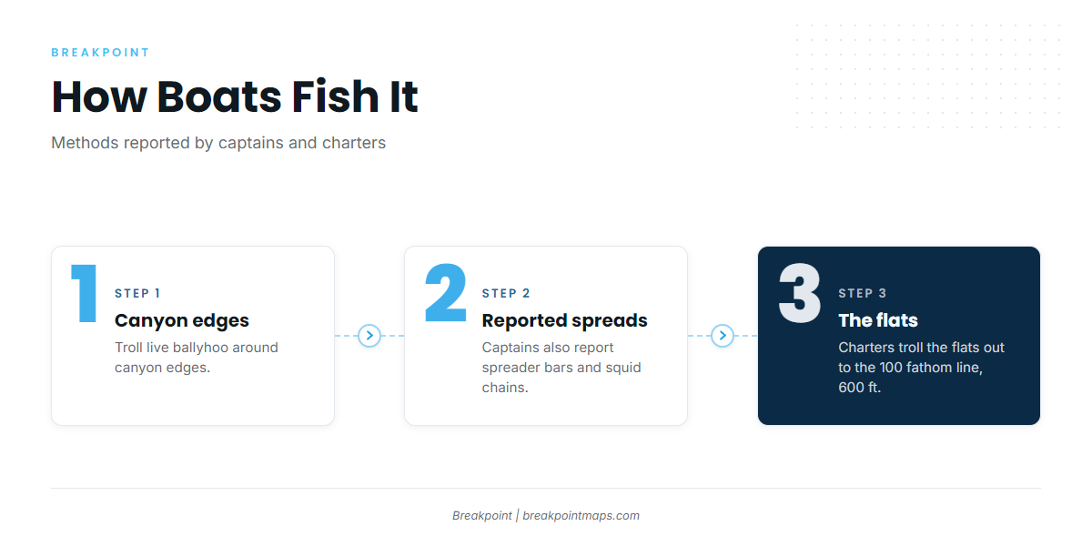 How yellowfin are fished here