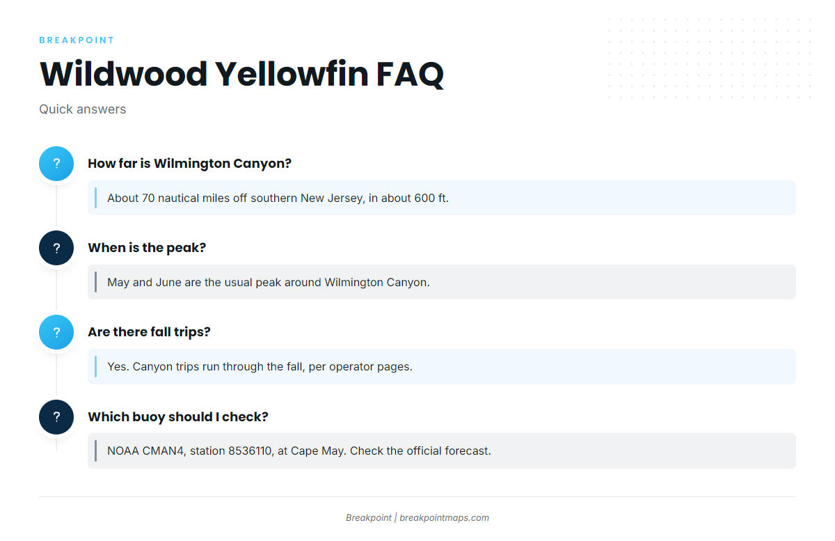 FAQ: yellowfin out of Wildwood