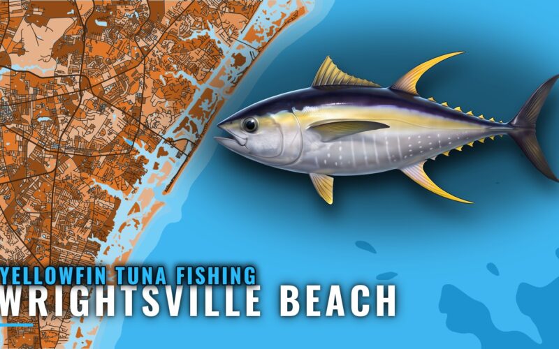 Yellowfin Tuna Fishing Out of Wrightsville Beach, NC
